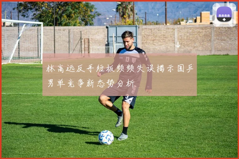 林高远反手短板频频失误揭示国乒男单竞争新态势分析